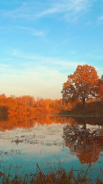 Beautiful autumn forest and lake, calm water, small waves