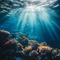 Ocean coral reef underwater. Sea world under water background