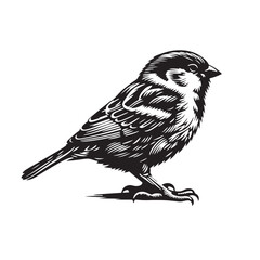 bird on a branch of a tree