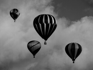 Black and white hot air balloons