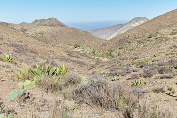 Hiking Up Cerro el Quemado, a sacred spot of the Huichol people