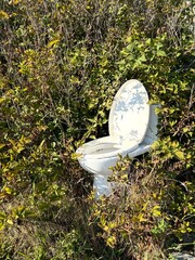 Toilet in nature