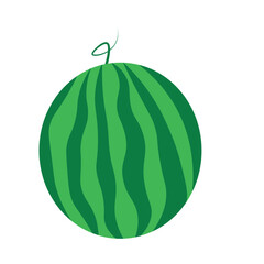 Watermelon Illustration