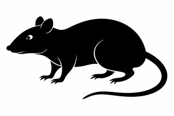 rat silhouette, Mouse silhouette vector, rat icon