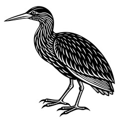 heron vector artwork silhouette and illustration