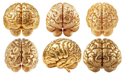Obraz premium Set of golden human brains in different views isolated on transparent background