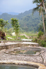 tropical garden in island