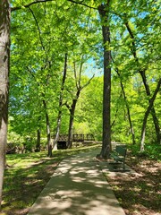path in the park