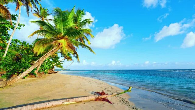 Vivid palm trees of Thailand on a wild sea sandy beach. Hot summer concept. Deserted island with palm trees on the beach. Paradise for rest and relaxation. Travel to the tropics.