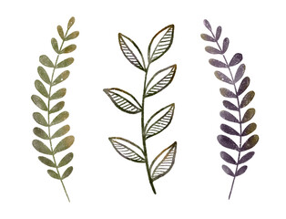 Obraz premium An Elegant Watercolor Leaves Collection Featuring Exquisite and Delicate Details