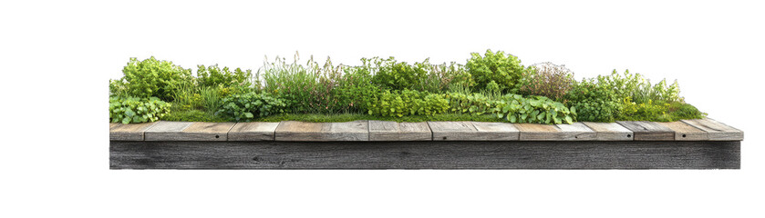 Green Roof Model, Reclaimed Wood Planks, and Rainwater Harvesting System Design. Isolated on a Transparent Background. Cutout PNG.