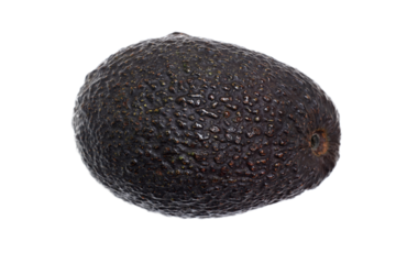 avocado isolated on white