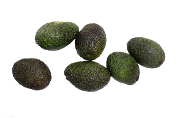 Avocado fruit on white background