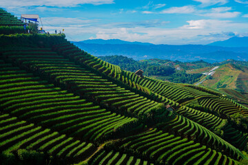 Nature view at Panyaweuyan terraces at the foot of mount Ciremai