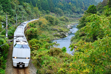 深緑の渓谷に沿って走り抜ける福知山線の始発特急列車