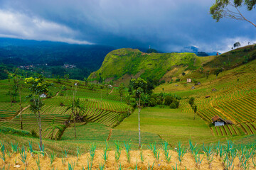 Nature view at Panyaweuyan terraces at the foot of mount Ciremai