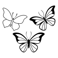 3 butterfly  line art vector vector file