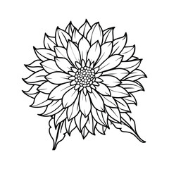 Aster Flower Icon. Thin Line, Outline, and Stroke Style Vector Illustration