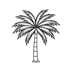 Isolated Coconut Palm Tree line icon. Vector Icon on White Background