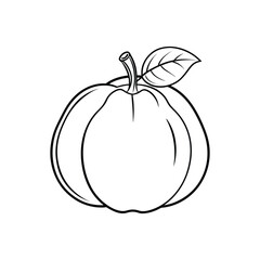 Quince Fruit Icon. Stylish Line Drawing on White Background