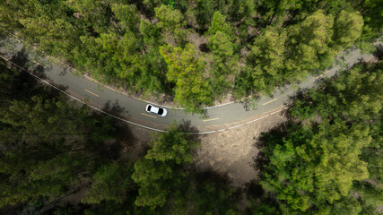 Aerial view of dark green forest road and white electric car Natural landscape and elevated roads Adventure travel and transportation and environmental protection concept