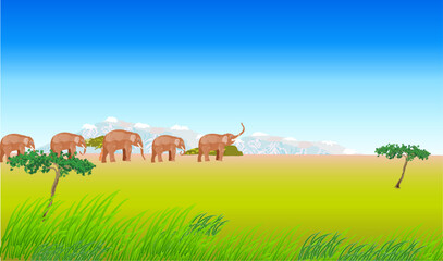 African landscape with a herd of elephants walking into savannah. The mountains are seen in the distance. Vector illustration.