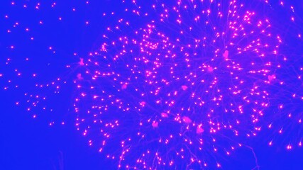 Abstract Real Firework on blue screen chroma key background, 4th of July independence day and new year eve 2024 concept. High quality 4k chromakey slow motion cinematic video