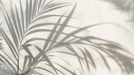 Soft palm leaf shadows gracefully dance on a textured white wall, capturing the tranquil essence of natural light at midday	