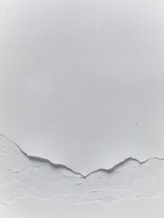 White paper with a torn edge