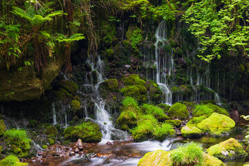 Fototapeta premium 日本の風景・春 秋田県にかほ市 新緑の元滝伏流水