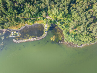 Aerial view of lake or river green shore with forest. Summer season.
