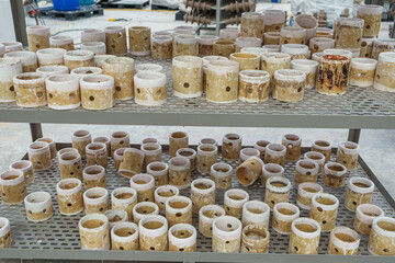Fire brick cylinder used in ceramic kiln at electric insulator (Porcelain Insulator) ceramic factory. 