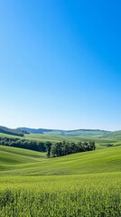 Naklejka premium A scenic view of rolling green hills under a clear blue sky 