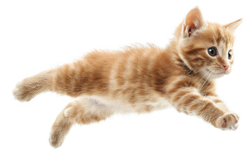 A playful orange kitten leaps gracefully, capturing the essence of curiosity and energy in a lively moment.