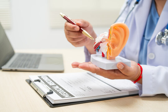 A female doctor sits at a table in a hospital, discussing hearing loss, tinnitus, and balance problems like dizziness and vertigo, addressing issues such as ear infections and inner ear degeneration.