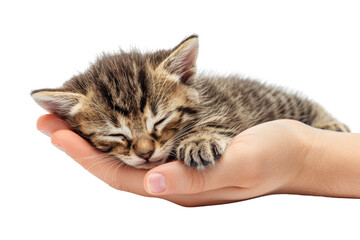 A tiny tabby kitten peacefully sleeping in a human hand, showcasing tenderness and warmth in a heartwarming moment.