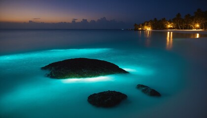 Obraz premium Bioluminescent Beaches (Various locations): Some beaches around the world, like Mosquito Bay in Vieques, Puerto Rico,