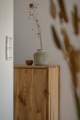 Dried Flowers in a Vase on a Wooden Cabinet