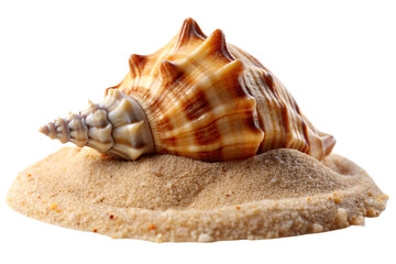 A large spiked seashell with intricate patterns and textures, perched on sand, set against a transparent background, evoking a sense of the ocean