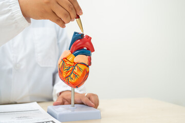 A female doctor works at a desk in the hospital,discussing heart diseases such as coronary artery...