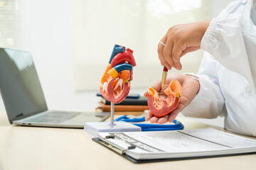 A female doctor works at a desk in the hospital,discussing heart diseases such as coronary artery...