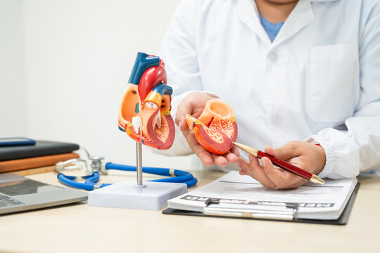 A female doctor works at a desk in the hospital,discussing heart diseases such as coronary artery disease,arrhythmia,heart valve stenosis,heart failure congenital heart disease, emphasizing symptoms