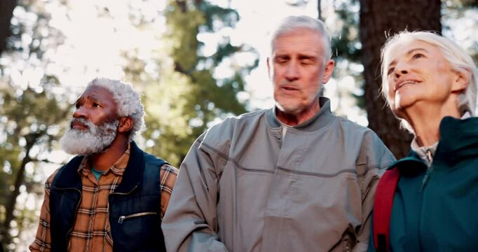 Pointing, senior or friends hiking in woods for outdoor adventure or journey for travel in nature or forest. Group, talk and old people on path for holiday retirement, walking or trekking to explore