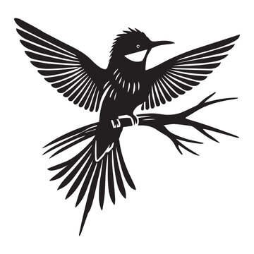 recommend clip art: Basic European Bee-Eater Illustration - Black and White  Bird Vector Clipart