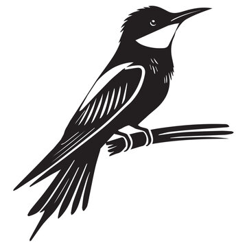 recommend clip art: Detailed Bee-Eater Bird Clipart - Black and White Merops Apiaster Design