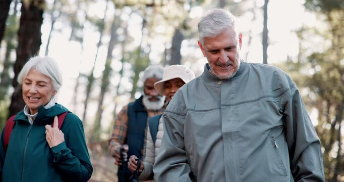 Pointing, senior or friends on trail hiking outdoor adventure or journey for travel in nature or forest. Group, talk and elderly people in woods for holiday retirement, walking or trekking to explore