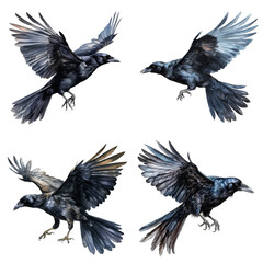 Obraz premium Four Black Crows in Flight with Spread Wings