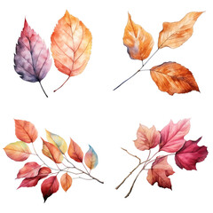 Fototapeta premium Watercolor Illustration of Autumn Leaves and Branches