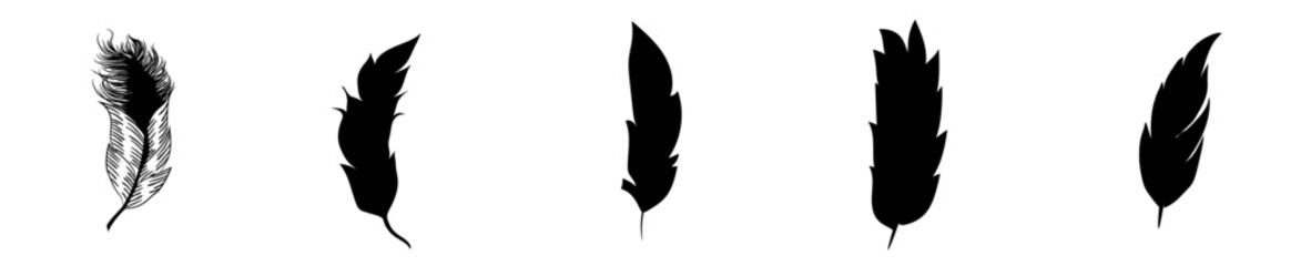 Simple Feather Bundle Typographic Emblems, Trendy Retro Style Illustration Collection Vector Illustration for Poster, Gift Card, Book Cover