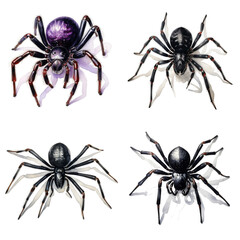 Four Watercolor Illustrations of Spiders